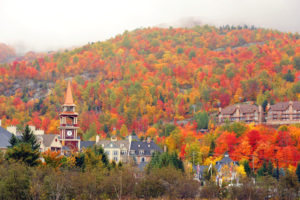 View fall foliage at Mont Tremblant